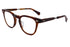DEAN C 47size col.MOTH TORTOISE